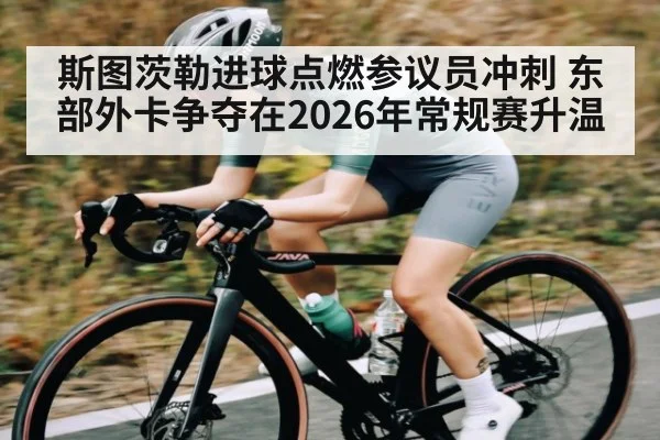 斯图茨勒进球点燃参议员冲刺 东部外卡争夺在2026年常规赛升温
